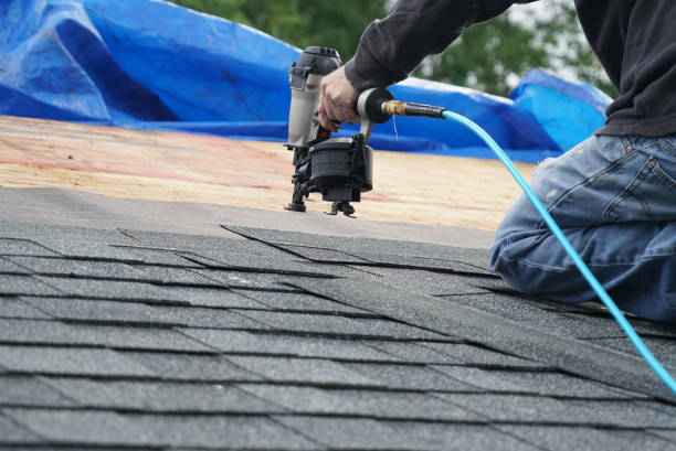 Best Roof Gutter Cleaning  in Aberdeen, OH
